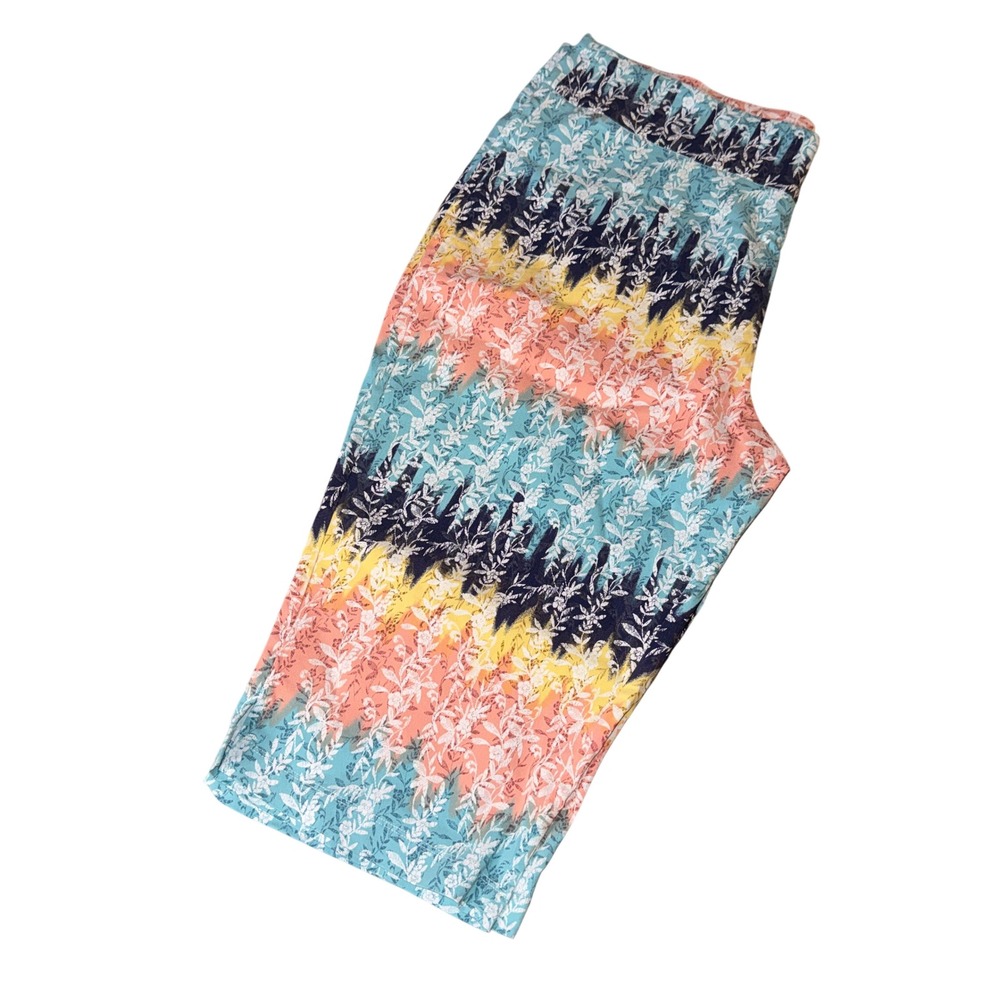 Preswick & Moore Capri Pants XL Multi-Color Floral Stripe Stretch Pull-On